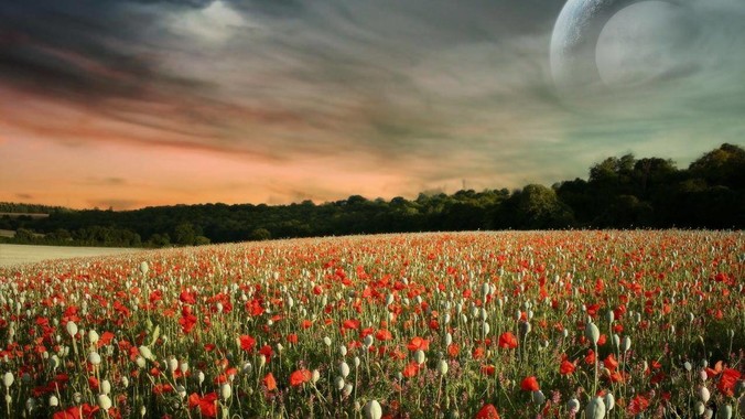 HTTP/3 解决了什么问题，又引入了什么新问题？